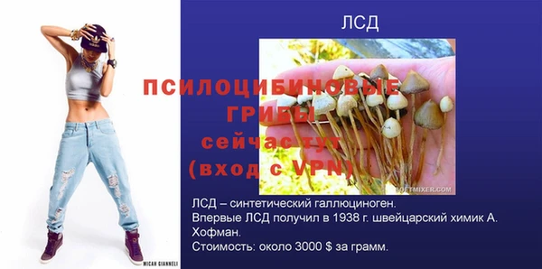 круглые Козельск