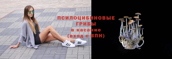 индика Корсаков