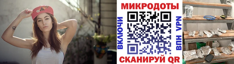 Псилоцибиновые грибы ЛСД  купить наркоту  omg сайт  Кяхта 